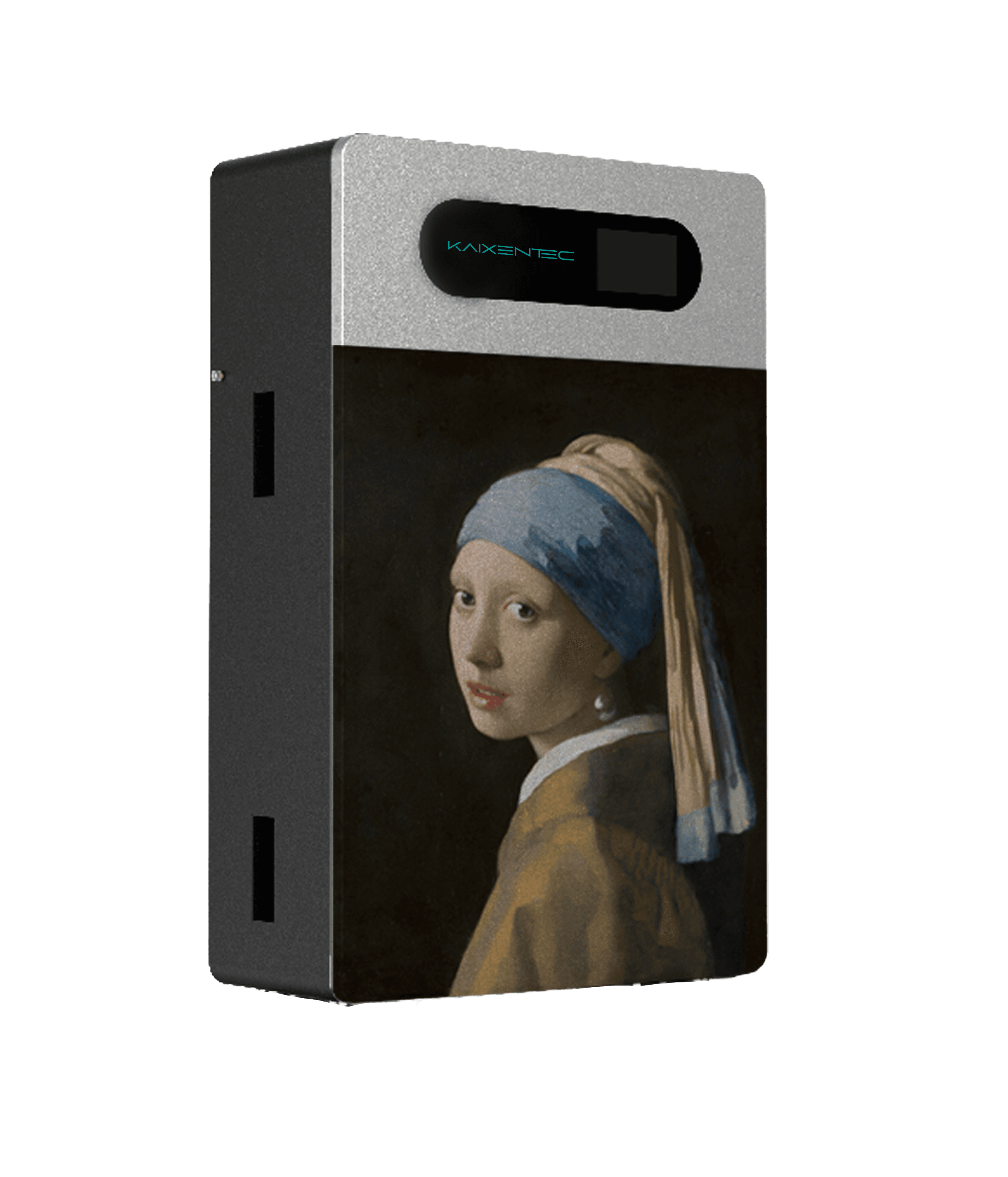 Wall/Floor mounted Battery with a customizable front panel